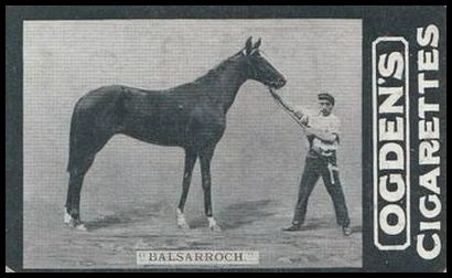 196 Balsarroch
